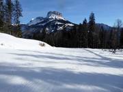 Piste facile Rehkogel
