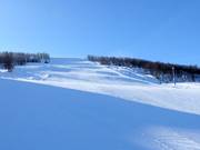 Piste n° 32 Slalombacken