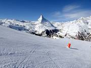 Piste Slow Slope Standard