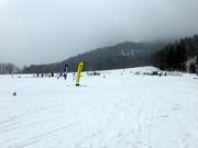 Hirschzwergland et Muli 1