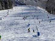 Enneigement par canons à neige à Wegscheid