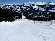 Piste n° 66 Jägerwurz