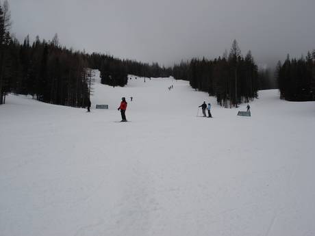 Diversité des pistes Washington – Diversité des pistes Wenatchee – Mission Ridge