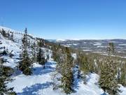 Zones de freeride / hors-piste à Stöten
