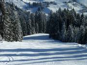 La piste noire n° 1 vers Mühlbach