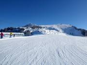 Vue sur les pistes au Croix de la Chaux (Gryon)