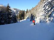 Descente vers la vallée Silbertal