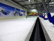 Espace d'entraînement délimité avec tapis roulant