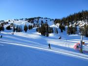 Des descentes faciles au Strawberry Express vers le Sunshine Village