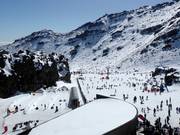 Bon plan pour les enfants : 