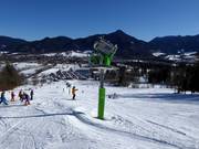 Enneigement sur le Streidlhang
