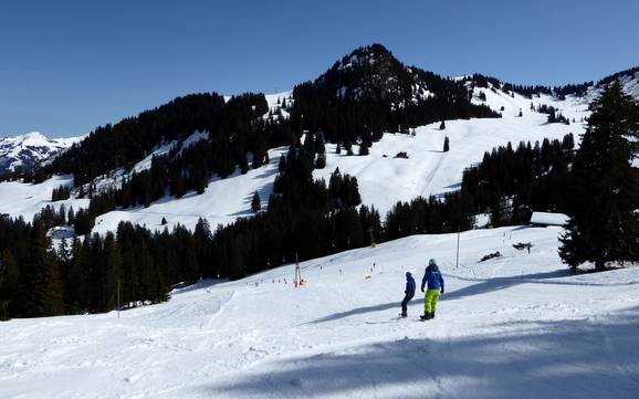 Skier dans la région touristique de la Gstaad