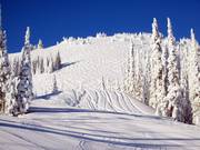 Pistes à bosses depuis la station supérieure du Crystal Chair