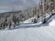 Piste très facile pour débutants