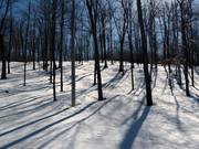 Un vrai plaisir pour les experts : les Gladed Runs