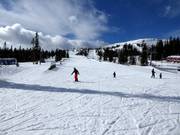 Piste facile et large Barnbackarna