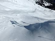 Piste Schwarze Bergwiesenabfahrt