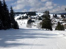 Domaine skiable Schwarzenbachlift – Altglashütten