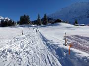 Ponylift Gerschnialp - Télécorde/remonte-pente à câbles bas