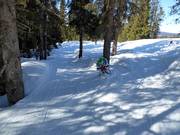 Piste Isas Waldpiste