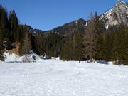 Piste de ski de fond à Palafavera