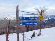 Signalisation des pistes dans le domaine skiable de Nakiska
