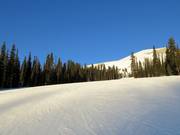 L'après-midi, les pistes se présentent toujours dans un bon état.