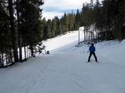 Descente facile en forêt