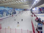 Vue sur la piste principale