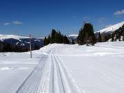 Piste de ski de fond Weitental