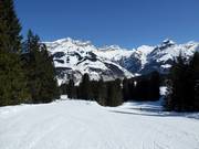 Descente Kanonenrohr vers Engelberg