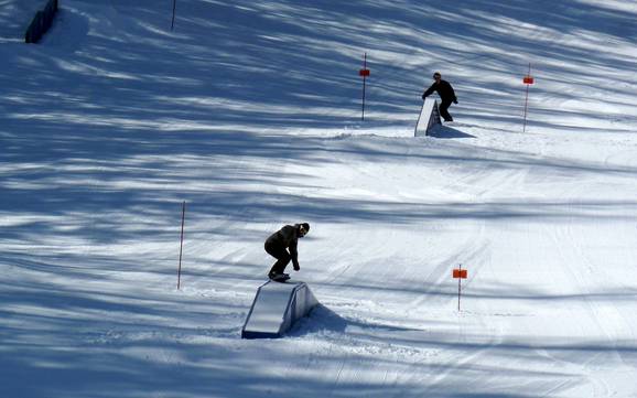 Snowparks Chaînon Lizard – Snowpark Fernie