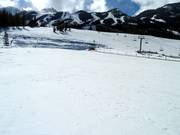 Zone d'entraînement au tapis Jelly Bean