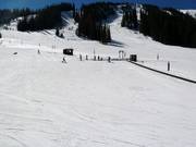 Espace débutant au tapis roulant