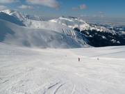 Descente Goryczokowa