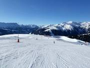 Piste n° 39 Falschbach