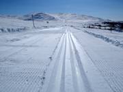 Piste de ski de fond Kobåsspåret