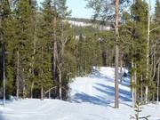 Pistes de ski de fond au stade Hellner