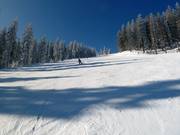 Piste Osthangstrecke