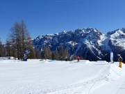 Pradalago Mini Ursus