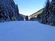 Piste n° 24 descente vers Welschnofen