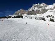 Des pistes larges dans le Gaistal
