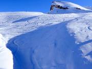 Des pentes de poudreuse attendent les experts