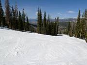 Descente typique en forêt à Winter Park