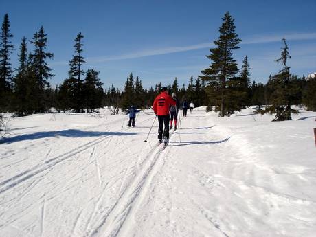 Ski nordique Norvège – Ski nordique Trysil