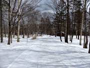 Accès facile au Club Med Sahoro Hokkaido