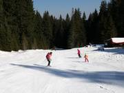 Piste familiale facile