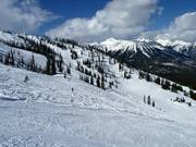 Vue sur la Lizard Bowl