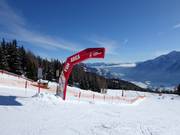 Aperçu Fun & Race Area