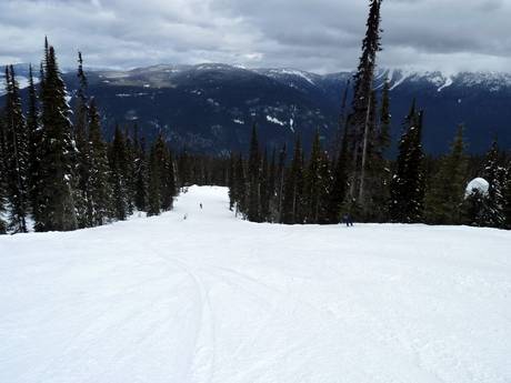 Diversité des pistes Columbia-Shuswap – Diversité des pistes Revelstoke Mountain Resort